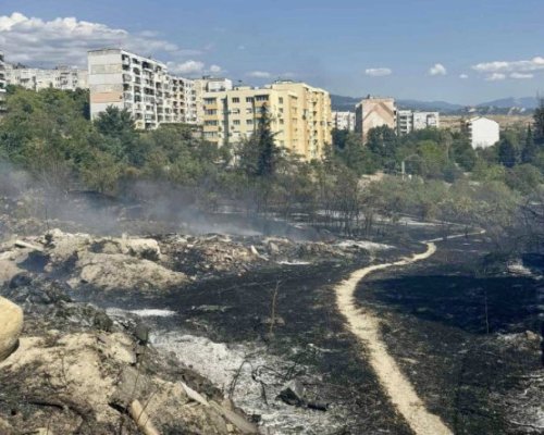 Пожар възникна на Е-79 край Сандански, овладяха го светкавично
