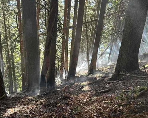 Пожарът край Рилския манастир е локализиран