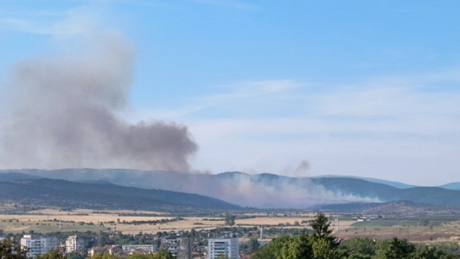 Пожар край кюстендилското село Ломница обхвана голяма площ гора и овощни насаждения Пожар край кюстендилското село Ломница обхвана голяма площ гора и овощни насаждения