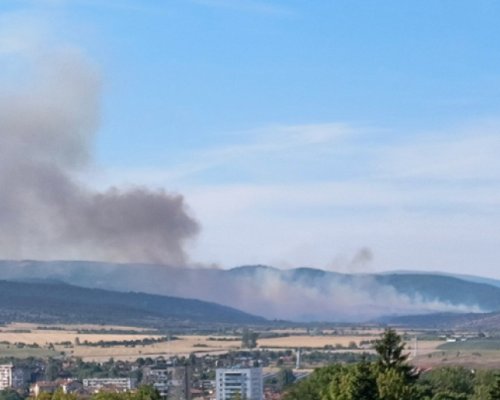Пожар край кюстендилското село Ломница обхвана голяма площ гора и овощни насаждения