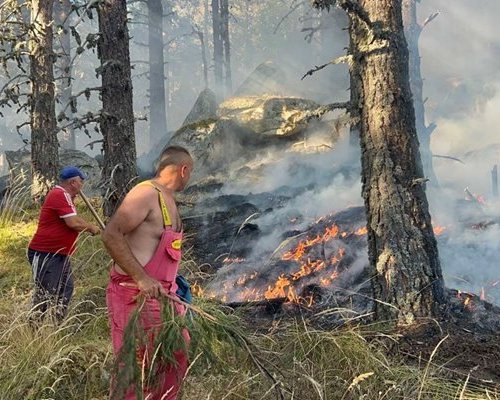 Стихията бушува: 70 пожарникари гасят огъня в Рила