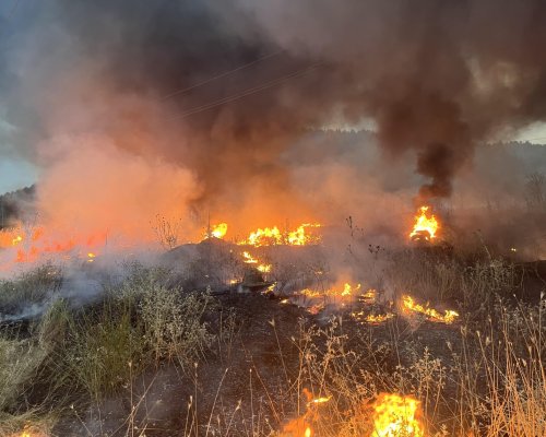 Общо 170 пожара са ликвидирани за денонощие в страната