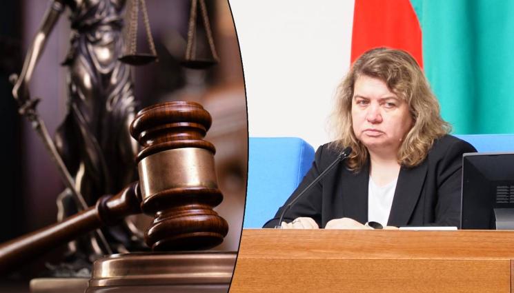 Киселова съди адвокат за плагиатство