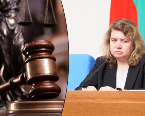 Киселова съди адвокат за плагиатство
