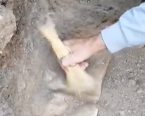 Нов фрагмент от статуята на Херакъл разкриват в момента археолозите в Хераклея Синтика