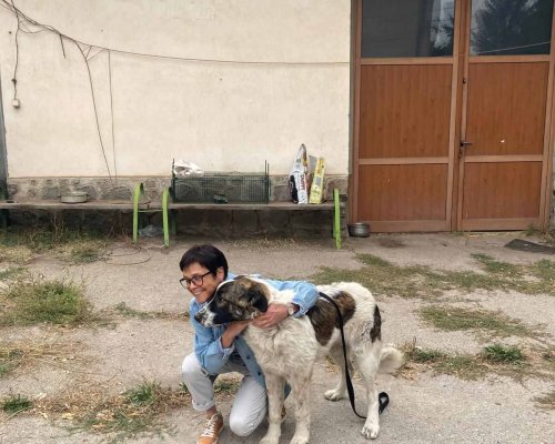 Още едно куче от Банско намери своя дом чрез кампанията  ОСИНОВИ МЕ