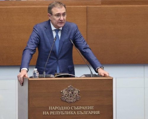 Предложение: 1100 лева на месец за втората година от майчинстството