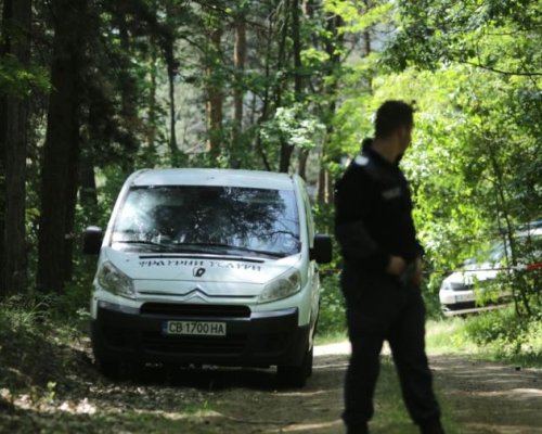 Намерено огнестрелно оръжие и боеприпаси в имот в местността  Хисарлъка