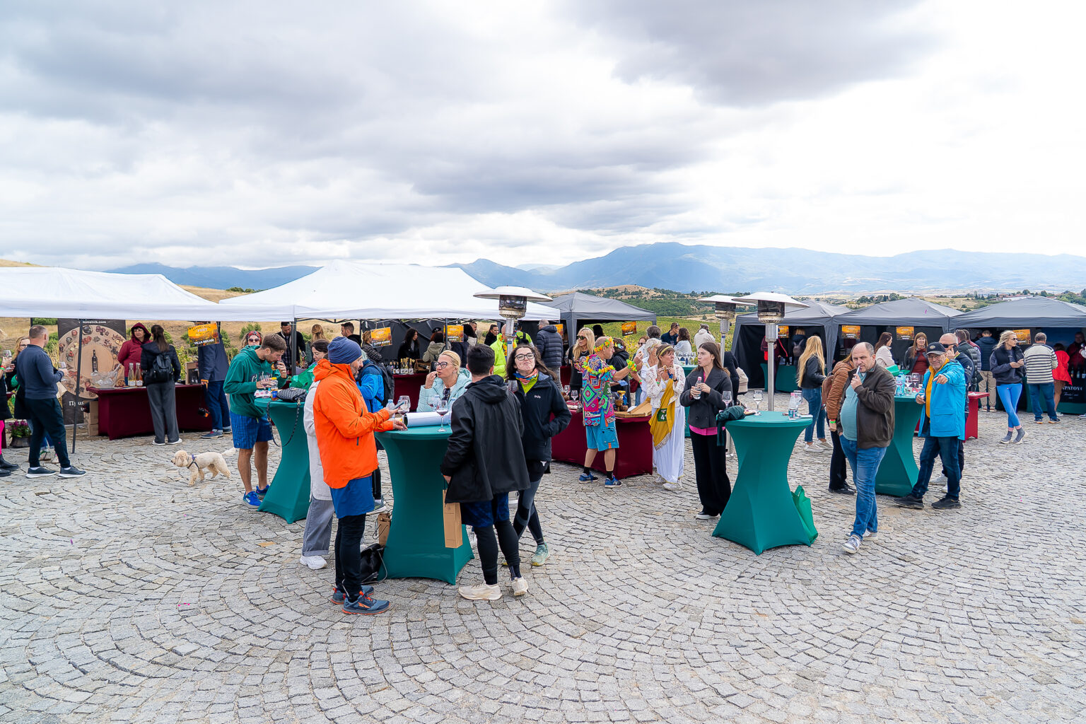 Struma Wine Fest 2025 сред лозята-сцена за преживяване сред природата