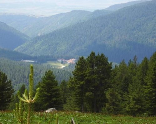 Временно спиране на движението по пътя Белица -Семково заради ремонт днес