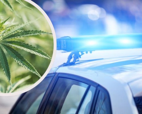 Акция  Анти дрога  в Петричко, задържан е 21-годишен мъж с над 25 килограма канабис