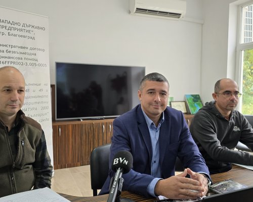 Близо 30 спад в реализираните дърва за физически лица тази година отчита ЮЗДП Благоевград