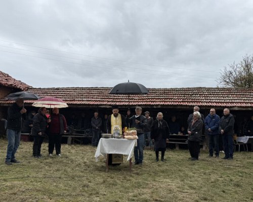 С литургия и курбан в Сенокос почетоха Свети Димитър