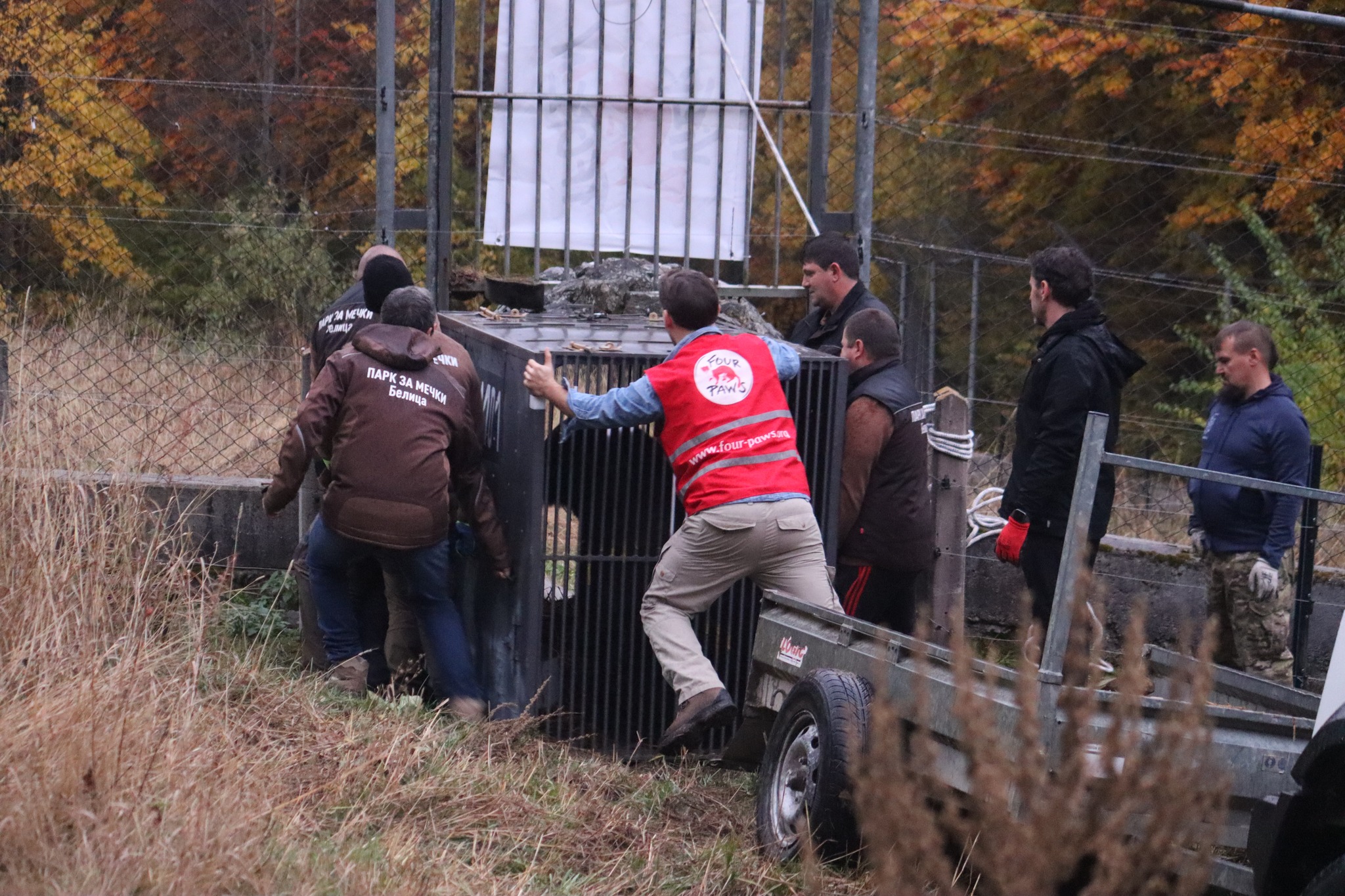 Две мечета от Украйна са новите обитатели на Парка за мечки в Белица Две мечета от Украйна са новите обитатели на Парка за мечки в Белица