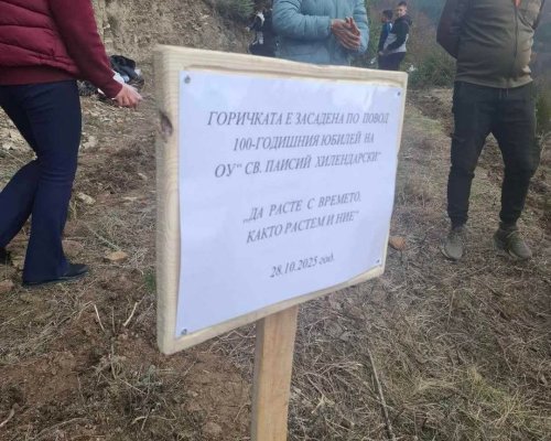 Ученици от гърменското с.Горно Дряново засаждат бял бор за юбилея на училището