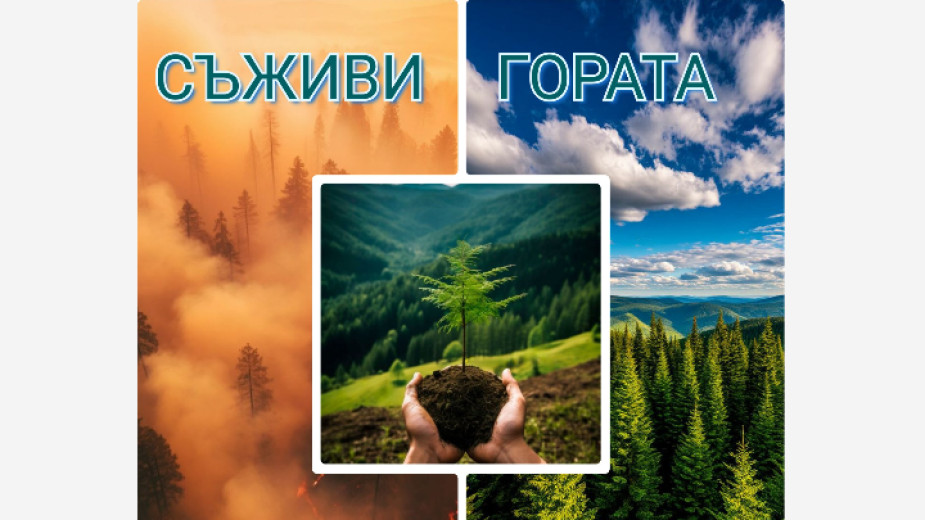 Кампания по залесяване-Съживи гората Кампания по залесяване-Съживи гората
