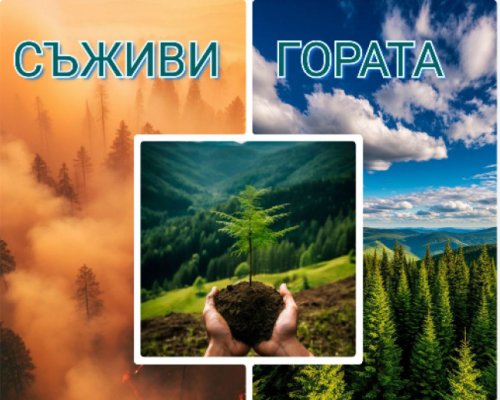 Кампания по залесяване-Съживи гората