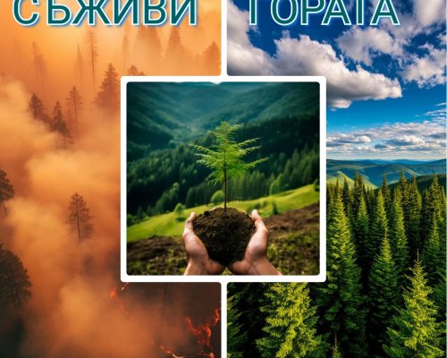СЪЖИВИ ГОРАТА”-СЪВМЕСТНА КАМПАНИЯ НА ЮГОЗАПАДНОТО ДЪРЖАВНО ПРЕДПРИЯТИЕ И ВОЕННОВЪЗДУШНИТЕ СИЛИ