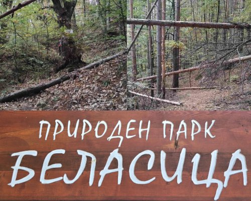 Служители на Природен парк Беласица почистиха от паднали дървета туристически маршрут Животът на кестена