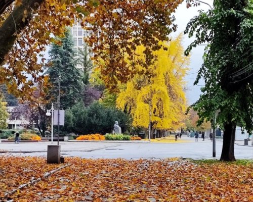 Аномалия в България до края на ноември