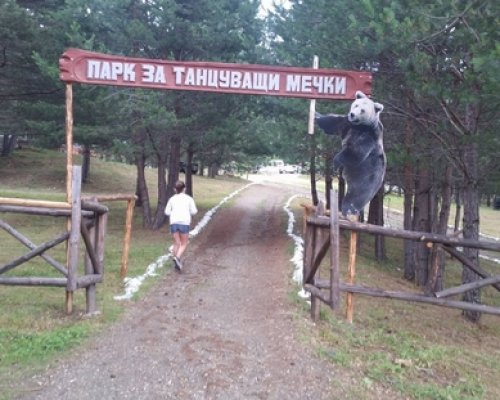 Паркът за мечки край Белица затваря врати за посетители