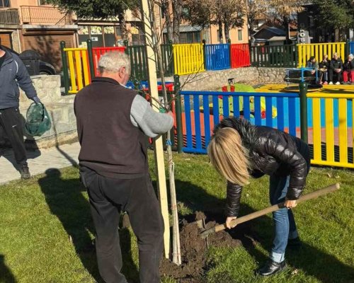 Една спортна инициатива в Банско се превърна в трайна идея