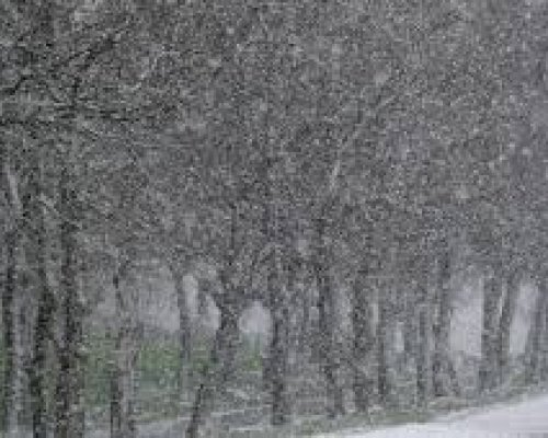 Meteo Balkans: Зимата идва на Балканите до часове