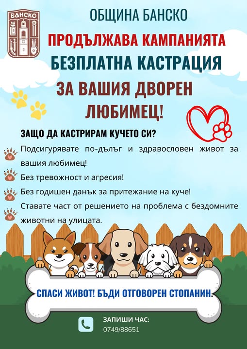 Община Банско отново с кампания за безплатна кастрация на дворни домашни любимци Община Банско отново с кампания за безплатна кастрация на дворни домашни любимци
