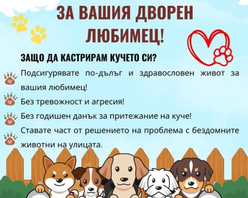 Община Банско отново с кампания за безплатна кастрация на дворни домашни любимци