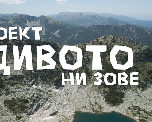 Филмът за рекорда на Петър Матов с премиера на 24-ия Банско филм фест 2025
