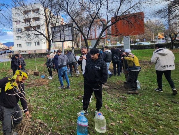 200 нови дървета ще красят Кюстендил 200 нови дървета ще красят Кюстендил