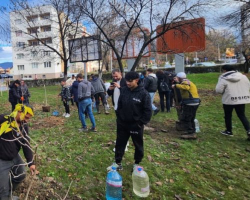200 нови дървета ще красят Кюстендил