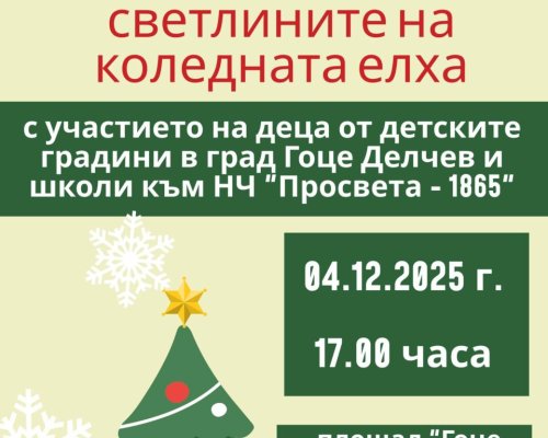 Коледната елха в Гоце Делчев грейва празнично на 4 декември