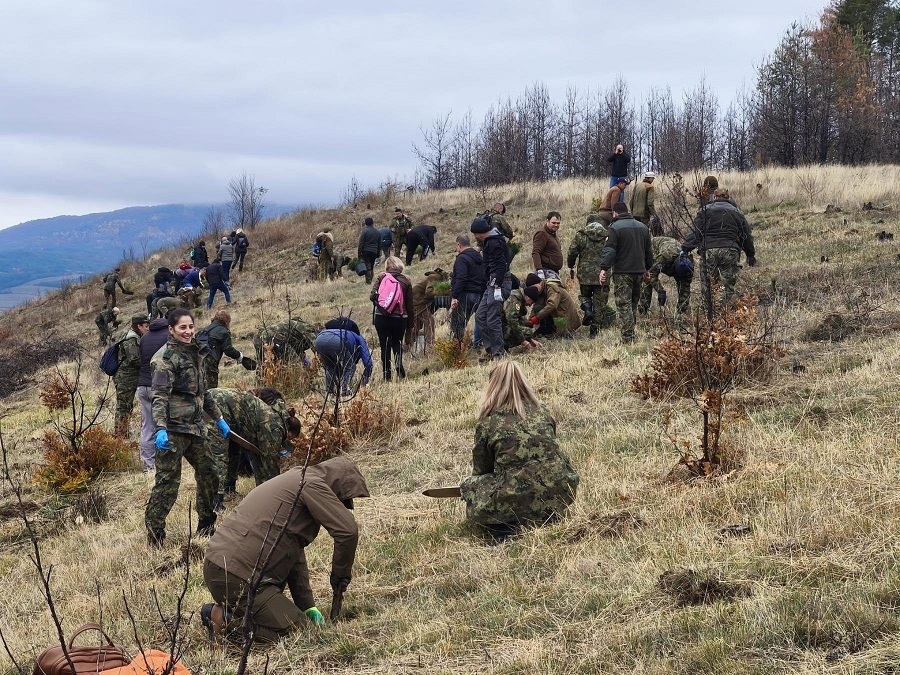 Утре: Горски и военни ще залесяват опожарената гора край Симитли