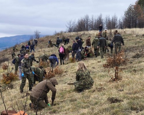 Утре: Горски и военни ще залесяват опожарената гора край Симитли