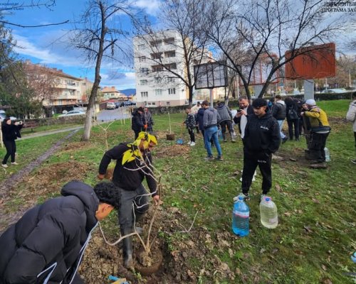 Нова акция по залесяване в Кюстендил