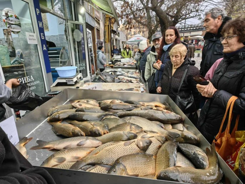 За Никулден българска риба почти няма: Шаранът върви между 10 и 20 лв. килото, най-евтина е скумрията