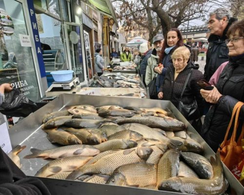 За Никулден българска риба почти няма: Шаранът върви между 10 и 20 лв. килото, най-евтина е скумрията