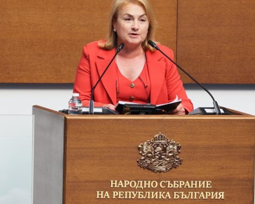Величие: Контрапротестът на ДПС-Ново начало се превърна в панаир на страха