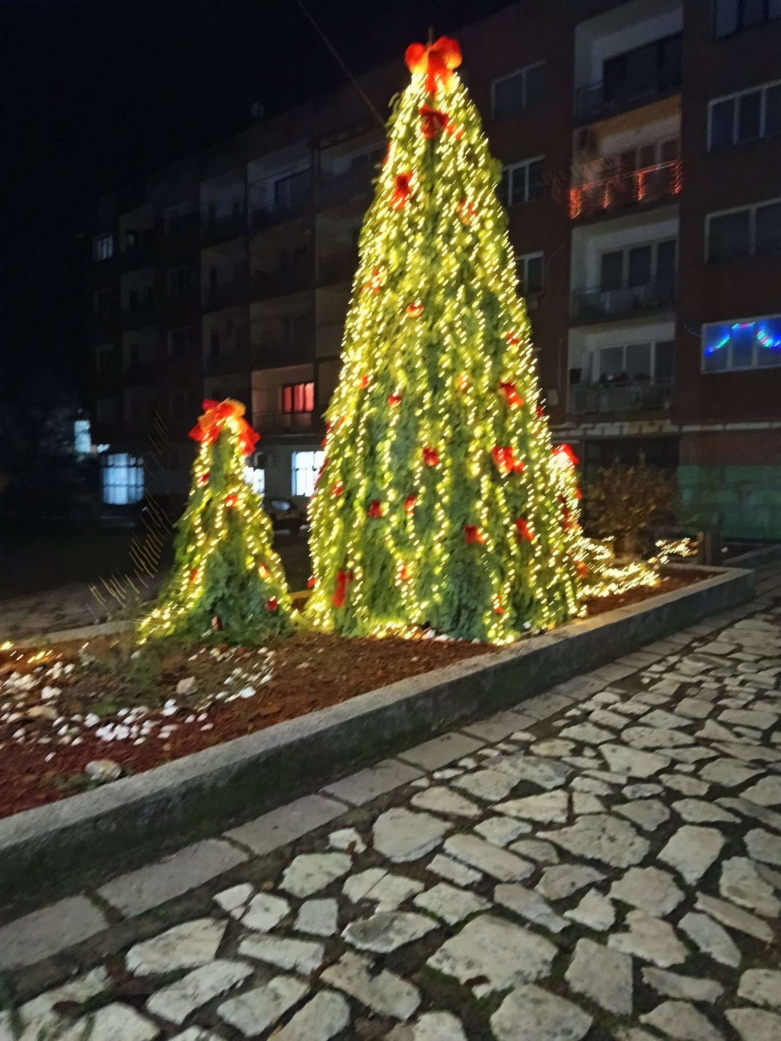 Коледна магия в Елешница