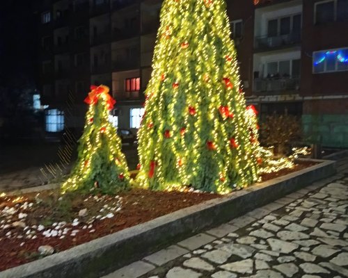 Коледна магия в Елешница