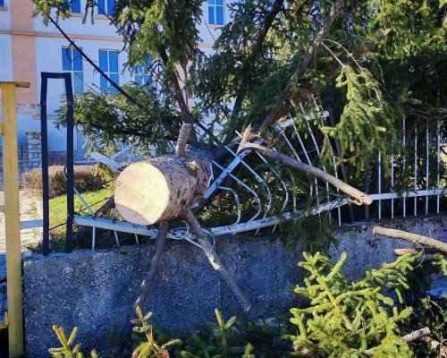 Бурният вятър остави Добринище без ток