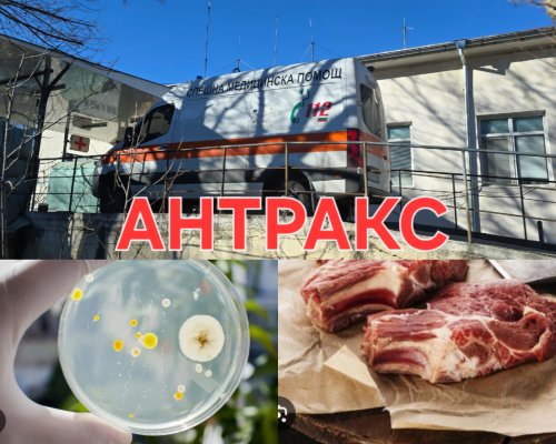 ИЗВЪНРЕДНО! Антракс в месото вдигна институциите на крак в Сандански и Струмяни