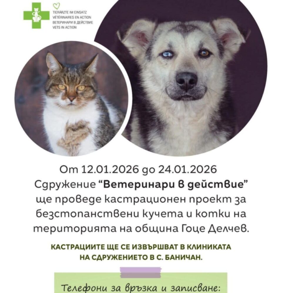 Кампания по кастриране на бездомни животни в Гоце Делчев