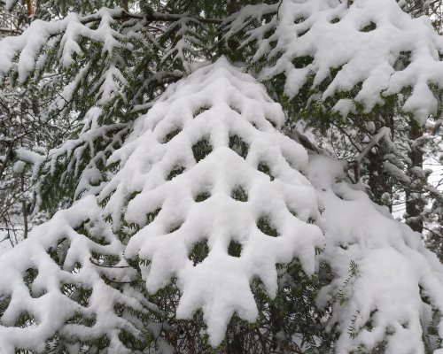 Слънчево време днес, но застудяване и снеговалежи през уикенда