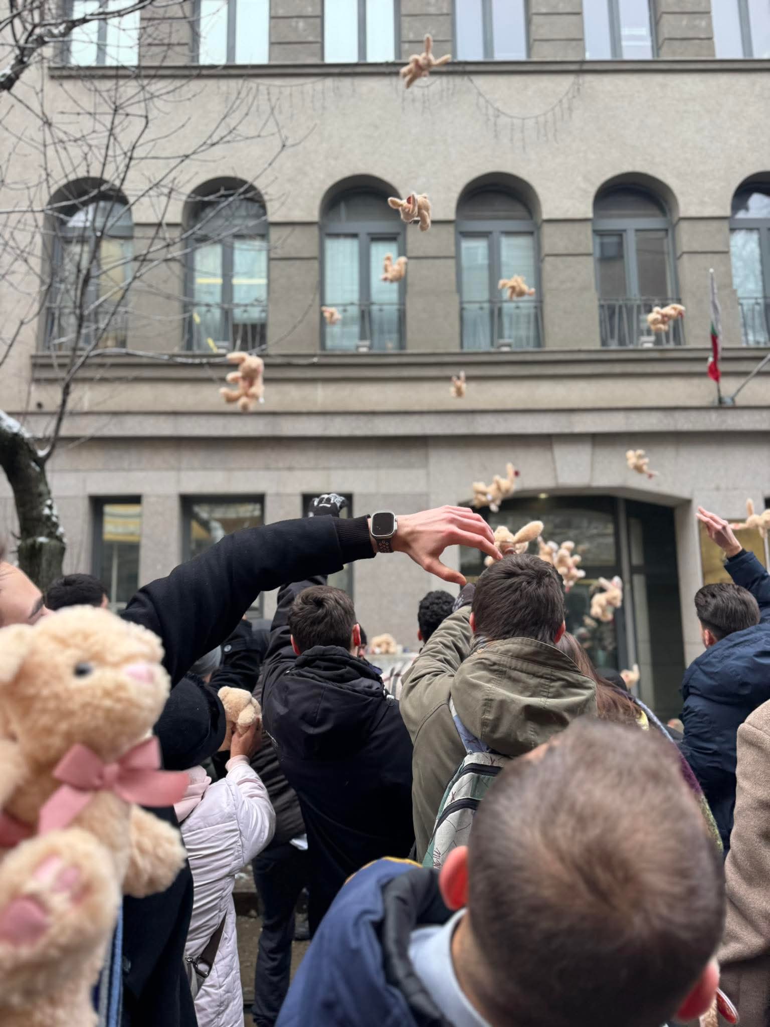Младежката организация на Да, България затрупа ВСС с плюшени зайчета Младежката организация на Да, България затрупа ВСС с плюшени зайчета