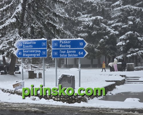 Ограничено е движението по прохода  Предел  за тежкотоварни МПС заради обилен снеговалеж и снегопочистване
