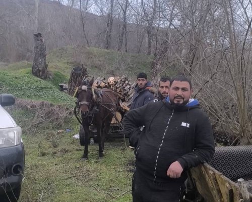 Горски служители заловиха бракониери по време на незаконен добив на дървесина край храма на Ванга