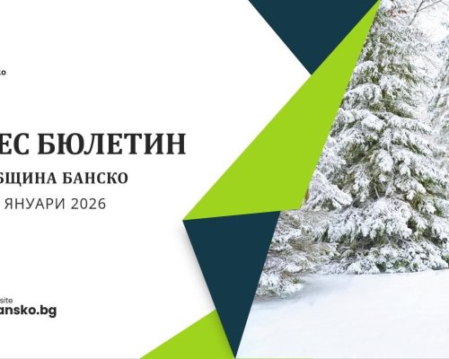 Община Банско публикува първия електронен бизнес бюлетин за 2026 г. с програми и възможности за бизнеса