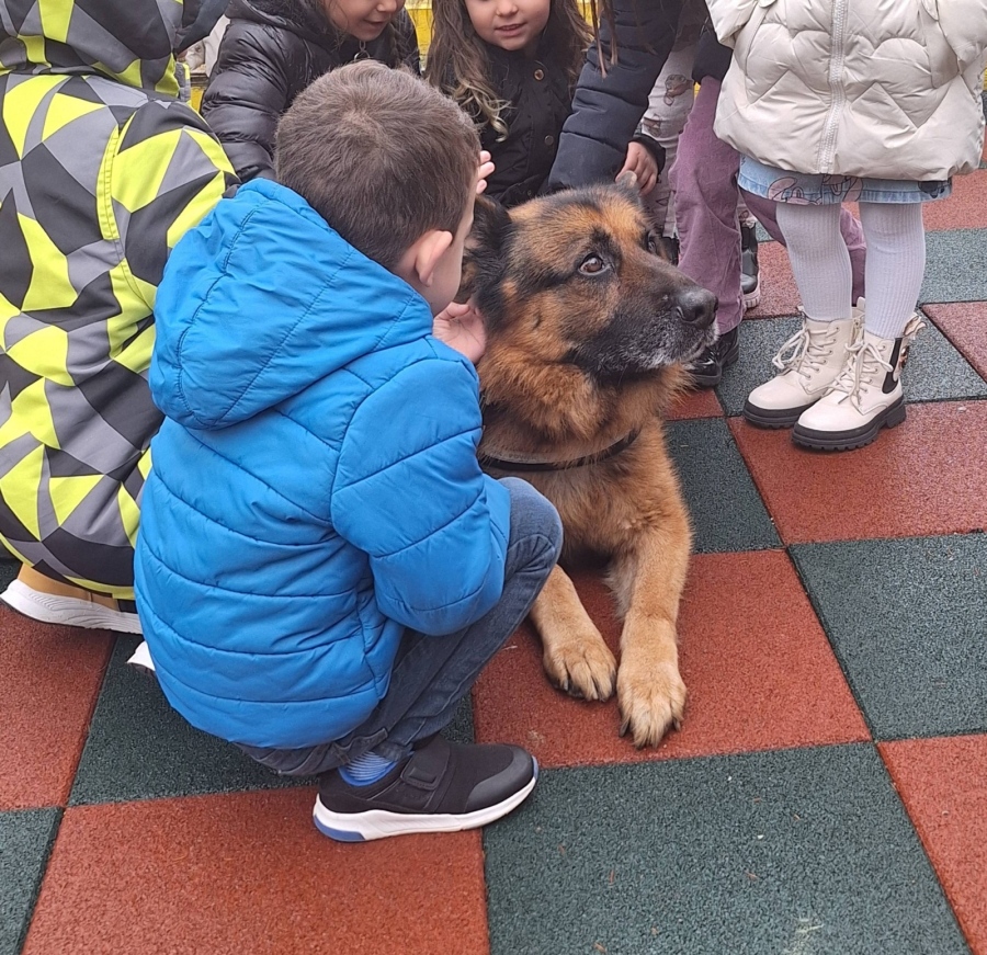 Полицейското куче Виктор стана любимец на децата в Кюстендил Полицейското куче Виктор стана любимец на децата в Кюстендил